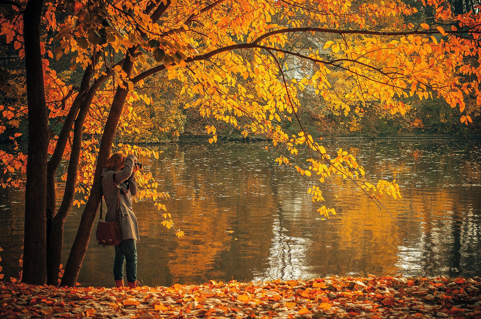 Autumn colors in USA