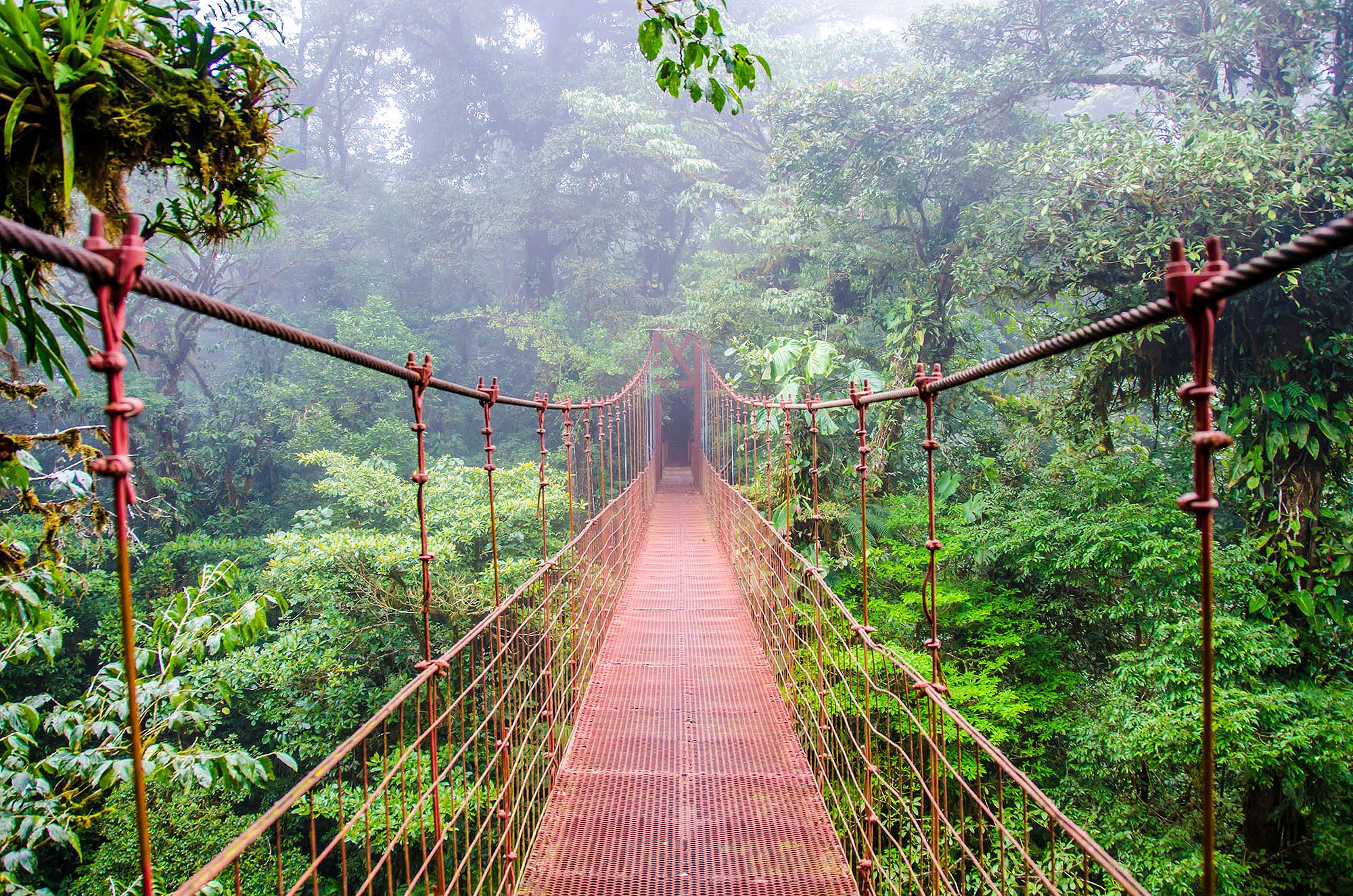 Costa Rica: A Nature Lover's Paradise