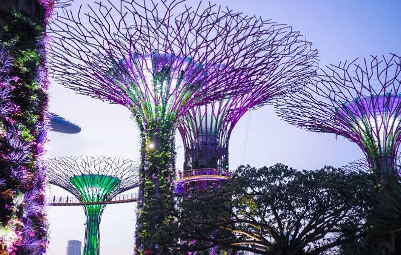 Gardens By the Bay