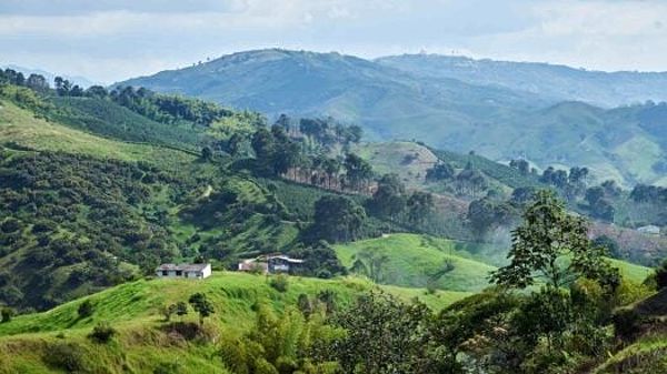 Lush green countryside in Colombia