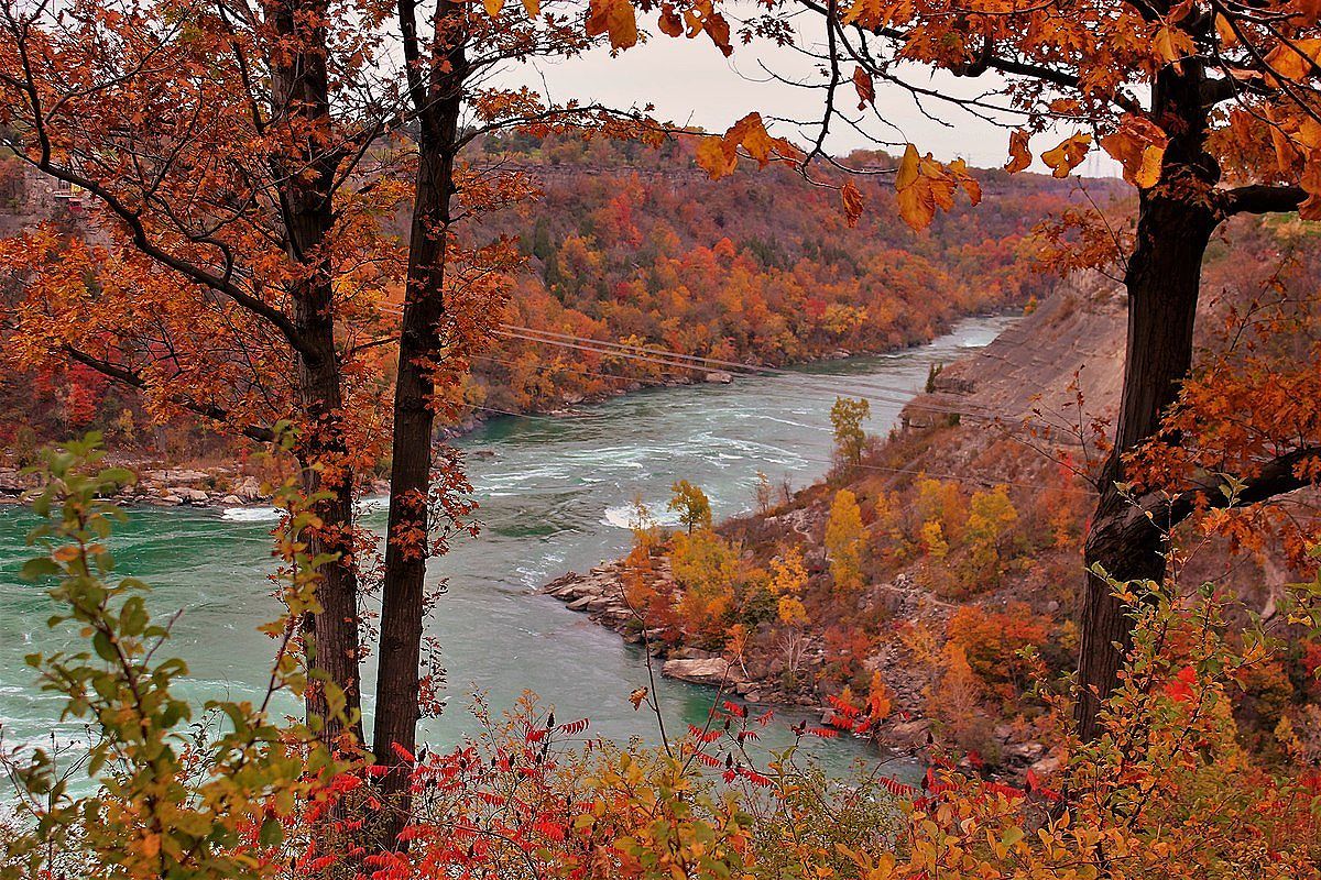 Niagara Falls River Gorge in fall