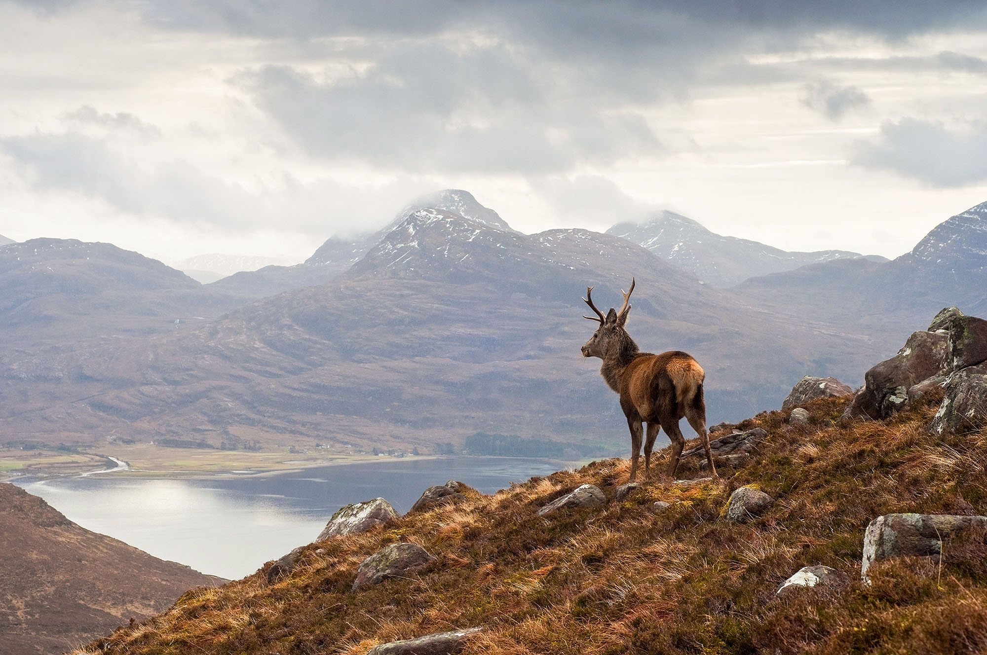 Scottish Highlands in fall