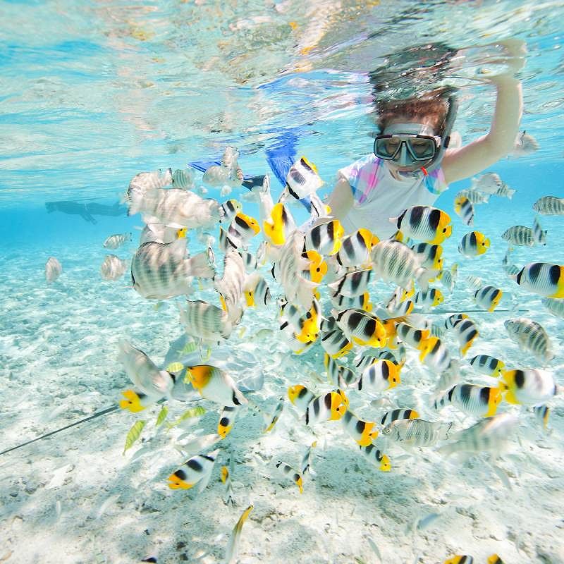 Snorkeling in clear tropical waters