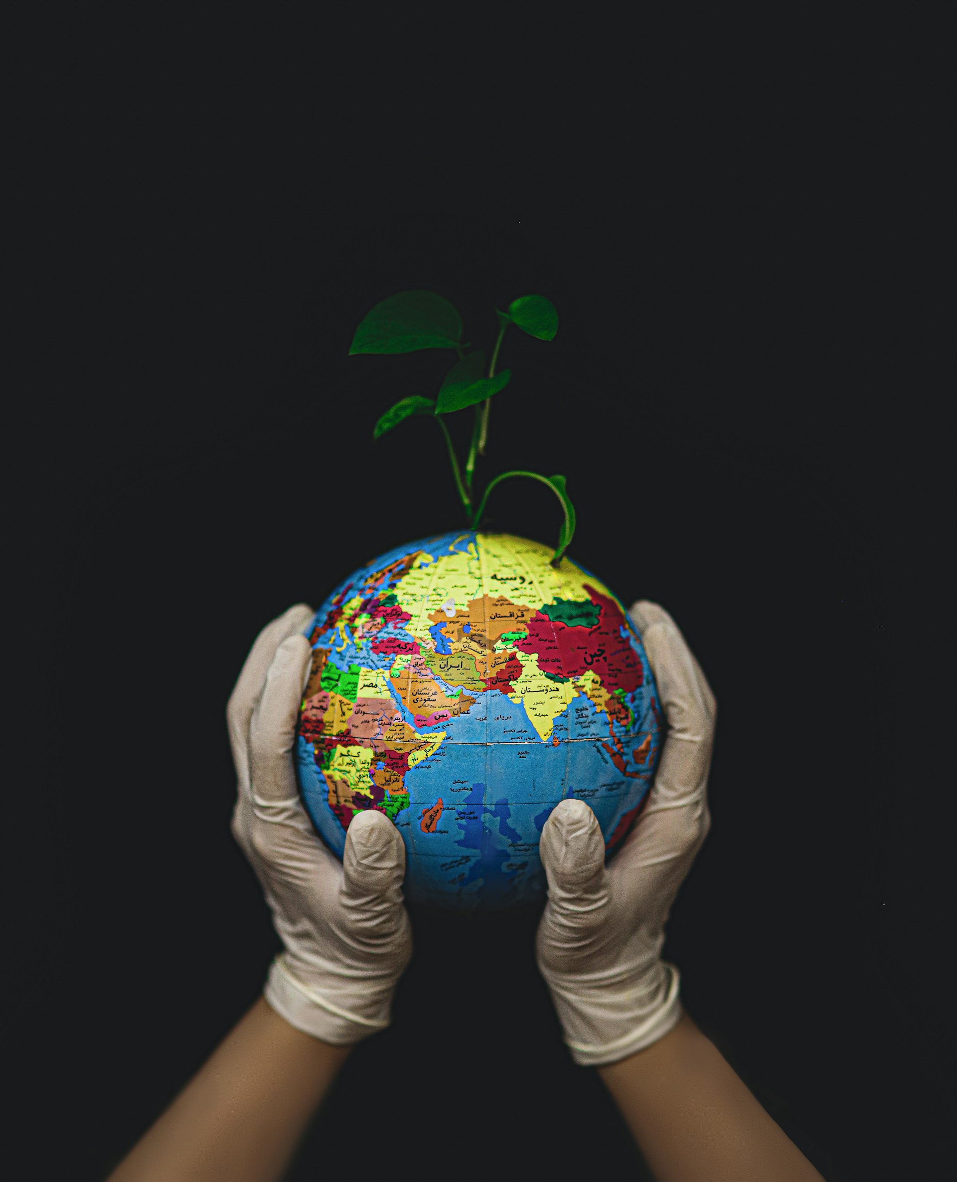 Unlocking Sustainable Business Careers: Opportunities, Skills, and Pathways for Impact