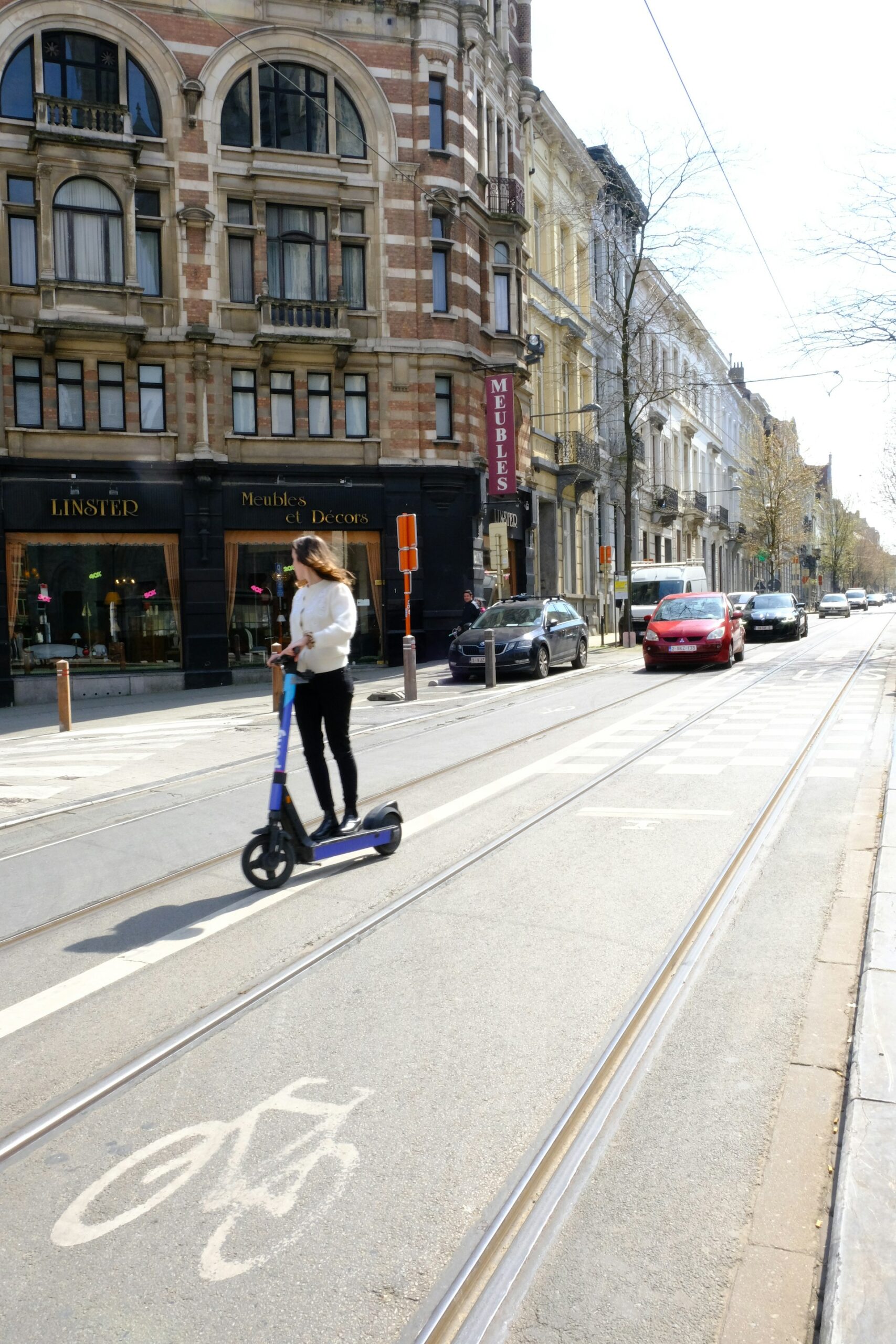 The Future of Subscription-Based Mobility Ecosystems: Flexibility, Technology, and Sustainable Growth